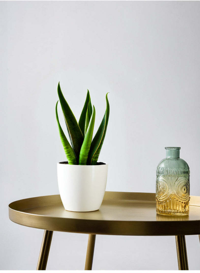 Ombre Glass Vase